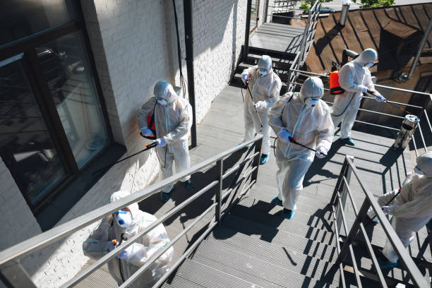 Best Asbestos and Lead Testing During Mold Inspection  in Sewell, NJ