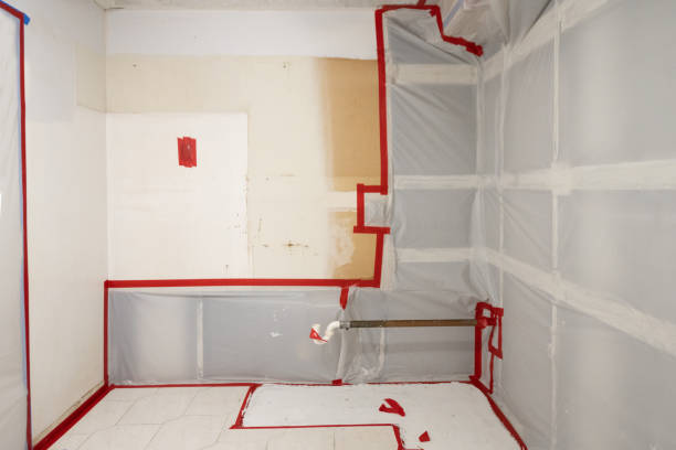Best Attic Mold Removal  in Sewell, NJ