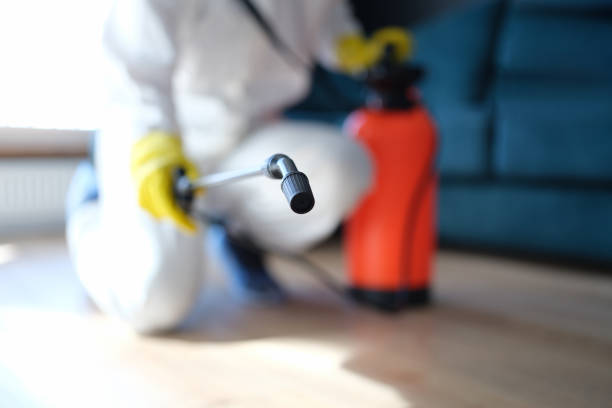 Best Commercial Mold Inspection  in Sewell, NJ