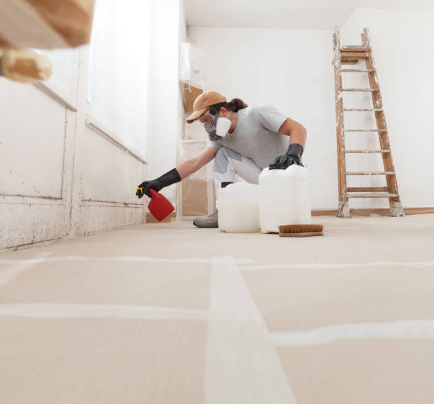 Best Post-Remediation Verification Testing  in Sewell, NJ