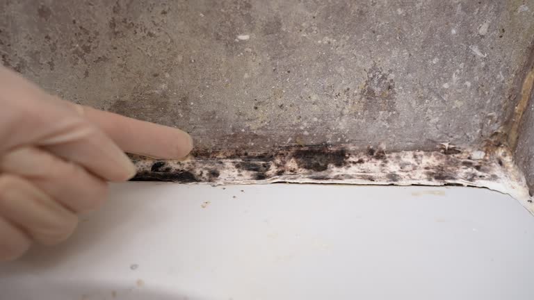Best Mold-Related Health Consultation  in Sewell, NJ